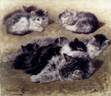  Henriette Malerei - Eine Studie der Katzen Tier Katze Henriette Ronner Knip